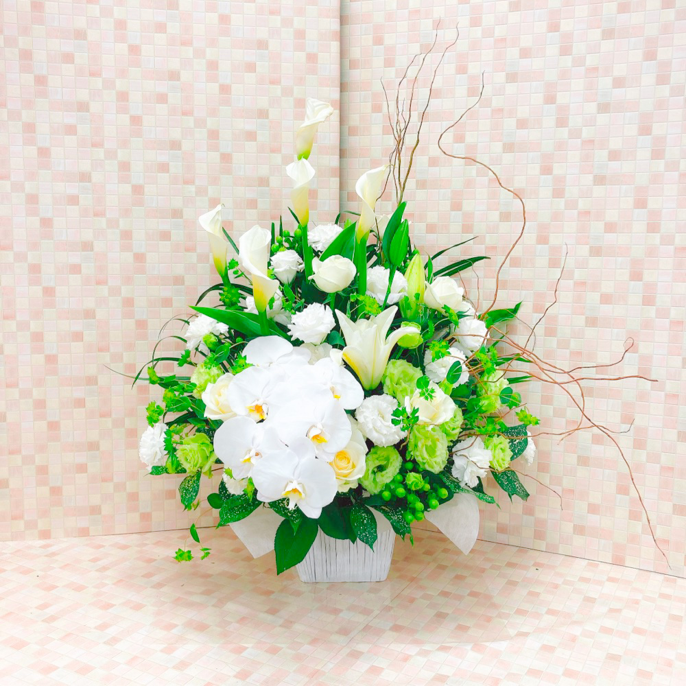 【供花】胡蝶蘭入り白とグリーンのアシンメトリーアレンジメント（H70）【送料無料】