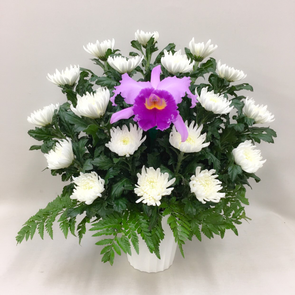 【御供】カトレア入り菊のアレンジメント〈ホワイト〉（H50）【送料無料】