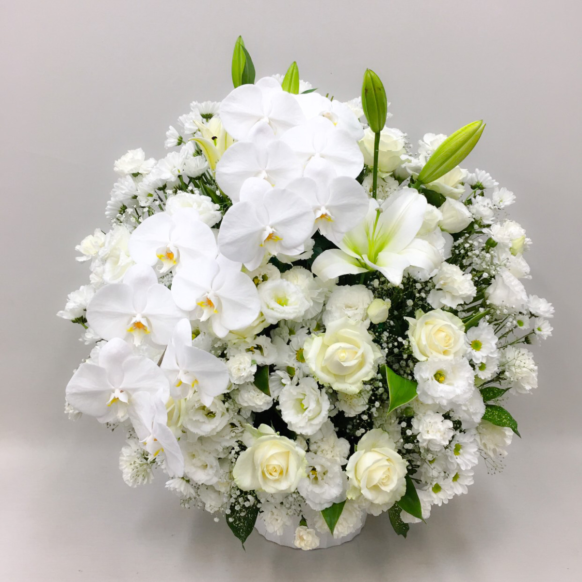 【供花】胡蝶蘭入り白バラのスフェアアレンジメント（H75）【送料無料】