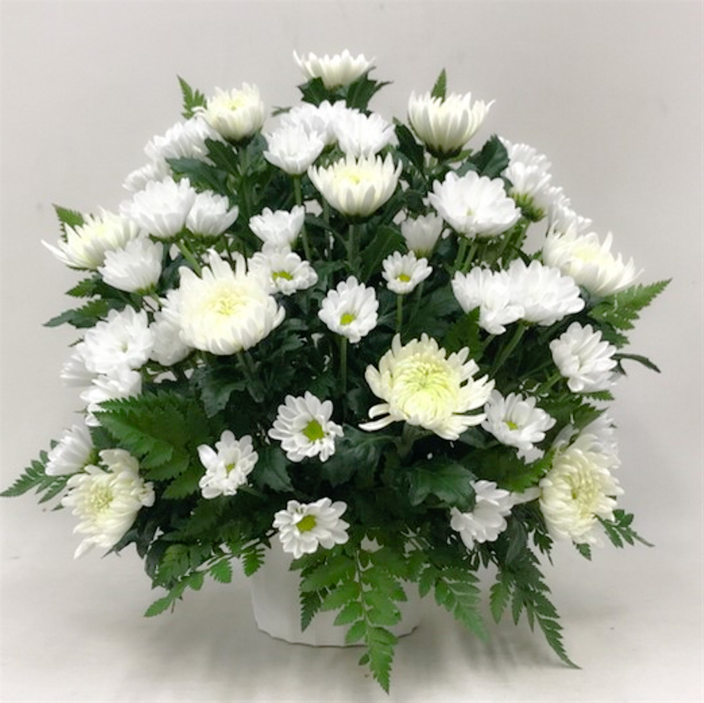 【供花】菊とスプレーマムのアレンジメント（H40）